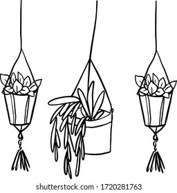 Hanging potted flowers.  Doodle. Vector illustration on white background. For cards, posters, stickers  and professional design. 