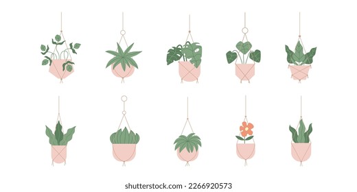 Hanging Potted Houseplant Vector Set