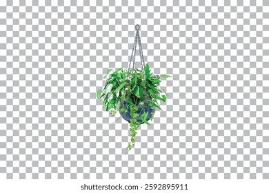 Hanging Potted Plants on Transparent Background