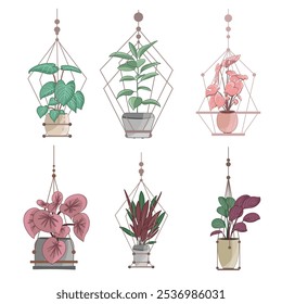 Hanging Potted Plants for Stylish Indoor and Outdoor Spaces, Hanging Plants Collection for Home Decor, Modern Indoor Hanging Potted Plants, Trendy Hanging Planters for Green Interior Design,