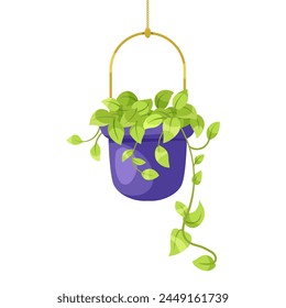 A hanging purple pot with lush green plants, simple flat vector illustration on a white background, concept of home decor. Vector illustration