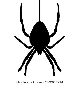 Hanging Spider Clipart