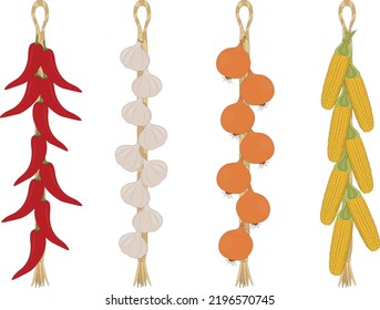 Hanging string of different harvested vegetables for storaging vector illustration