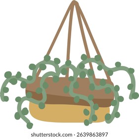Hanging String of Pearls Plant in a Decorative Pot