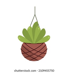 Hanging Succulent Plant Flat Icon