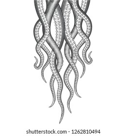 Hanging Tentacle Illustration