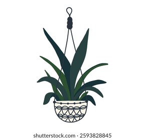 Hanging trailing macrame house plant pot. Home interior flowerpot. Indoor various macrame houseplant. Home office garden hanging plant. Vector flat illustration