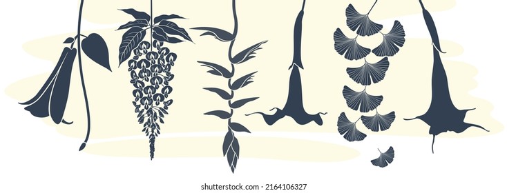 Hanging tropical plants and flowers: lapageria, wisteria,  heliconia, brugmansia, ginkgo biloba. Vector set of silhouettes, light yellow abstract spot isolated on white background.