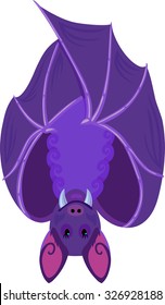 hanging vampire bat