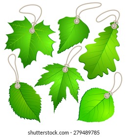 Hanging vector tags with green leaves. Vector illustration