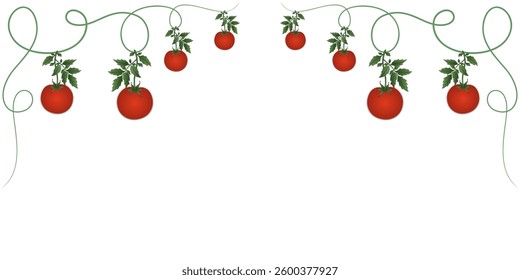 Hanging Vine Tomatoes Frame – Fresh Organic Food Illustration