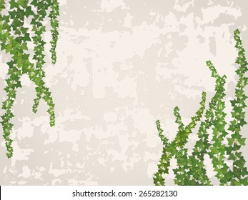 hanging vines on the background of old stucco wall - vector background