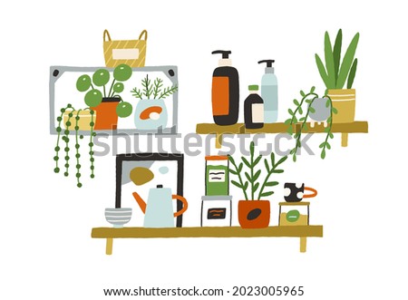 Hanging wall shelves with different interior decor and kitchen objects like glass jars with food, bottles, potted plants, teapot, basket and cup. Flat vector illustration isolated on white background