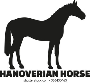 Hanoverian horse
