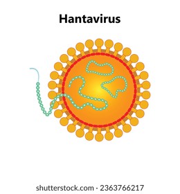 Hantavirus with the protective medical mask. hantavirus Emergency concept. Hantavirus, HPS virus infection pulmonary syndrome HPS. The outbreak continues to spread outside China. Chinese flag