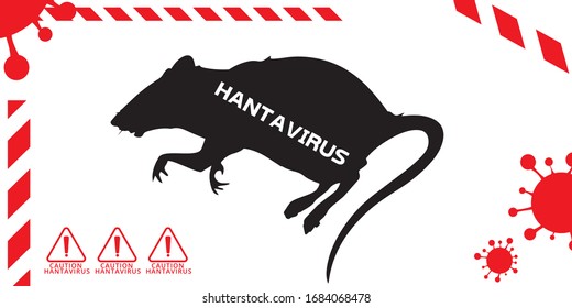 Hantavirus is a rare but deadly viral infection. Vector illustration of the new Chinese Hanta virus that is spread by mice and rats. Vector illustration.