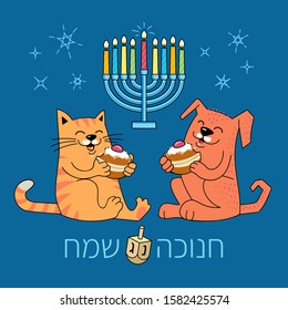 Hanukkah Jewish holiday greeting card with funny cat and dog eating donuts. Happy Hanukkah text in Hebrew.