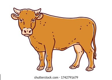 Hanwoo. It is a breed of small cattle native to Korea. Colored vector illustration.