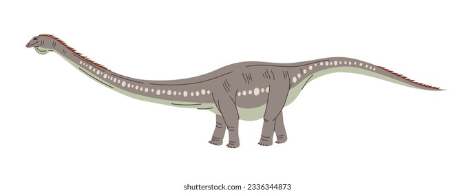 Haplocanthosaurus spined lizard sauropod dinosaur with long tail and spines on back isolated ancient animal. Vector dinosaur cartoon character