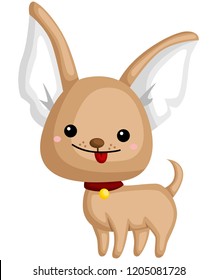 a happy and adorable cihuahua pure breed dog 