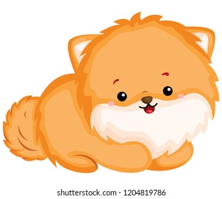 a happy and adorable corgi pure breed dog 