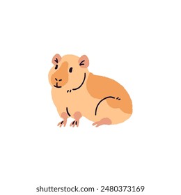 Happy American guinea pig with orange color of coat. Cute short hair cavy sitting. Fluffy domestic animal relaxes. Funny pet, rodent. Hand drawn flat isolated vector illustration on white background