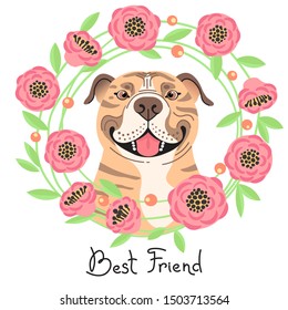 Happy American Staffordshire Pit Bull Terrier. Best friend - Pit Bull dog and wreath of flowers in the style of cartoon. Vector illustration.