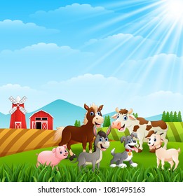 Happy animals at farm background