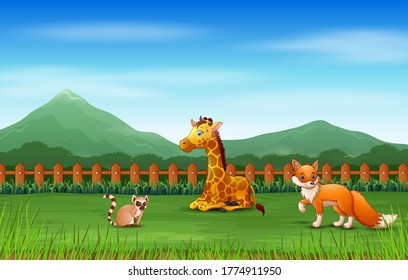Happy animals relax at the zoo