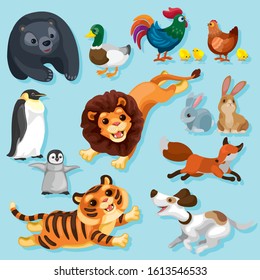 Happy Animals In Various Poses