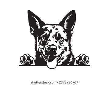 Happy Australian cattle dog peeking dog.  Cattle dog portrait. Black and white vector illustration.