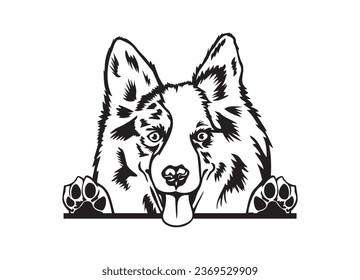 Happy Australian Shepherd peeking dog. Aussie dog portrait. Black and white vector illustration.