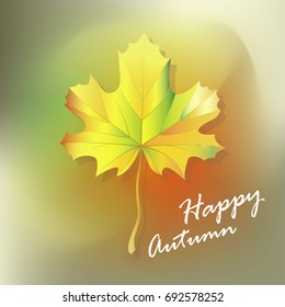 happy autumn, maple leaf,  banner design