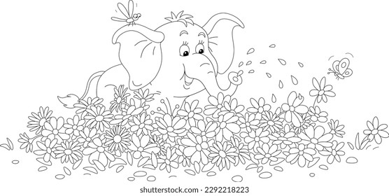 Happy baby elephant watering flowers on a pretty flowerbed in a summer garden, black and white outline vector cartoon illustration for a coloring book