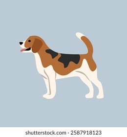 Happy Beagle Dog Illustration. Beagle dog. Cute beagle dog. Fluffy. Breed. Cute animal. Cute dogs. Little dogs. Canine. Dogs walking. Dogs barking.