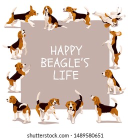 Happy beagle life vector card or poster with cute flat funny plaing puppys in various poses and action. Design for dogs lover