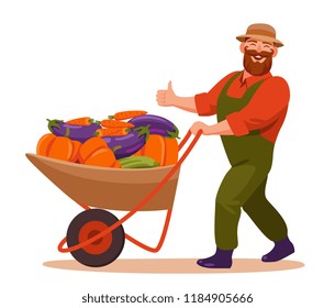 Happy bearded farmer carries a wheelbarrow with vegetables and showing thumb up. harvest cartoon vector illustration