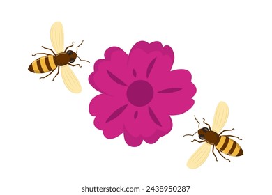 Happy bee flying. Honey bee flying to the flowers collecting nectar. Vector illustration