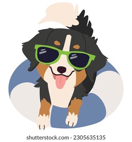 Happy Bernese mountain dog with sunglasses and floating ring, air mattress for summer