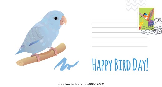 Happy Bird Day! Parrotlet. Vector illustration. Greeting postal letter.