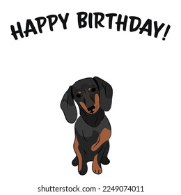 Happy birthday card with balck dog, holiday design. Present for a dog lover. Funny cartoon dog breed illustration.  Minimalistic greeting card. Fun Doxie dog character party postcard.