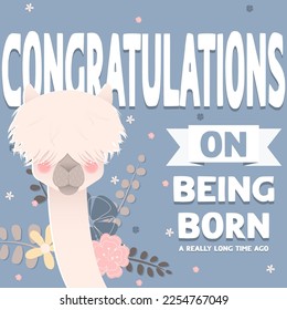 Happy Birthday card. Congratulations on being born a long time ago. White furry alpaca on blue background with flowers