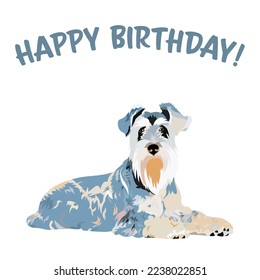 Happy birthday card with dog, holiday design. Present for dog lover. Funny cartoon dog breed illustration.  Minimalistic greeting card. Fun Miniature schnauzer dog character postcard.