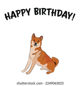 Happy birthday card with a dog, holiday design. Present for a dog lover. Funny cartoon dog breed illustration.  Minimalistic greeting card. Fun Shiba Inu sitting dog in hat character postcard.