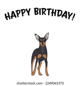 Happy birthday card with dog, holiday design. Present for a dog lover. Funny cartoon dog breed illustration.  Minimalistic greeting card. Fun miniature Pinscher dog in hat character postcard.