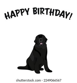 Happy birthday card with dog, holiday design. Present for a dog lover. Funny cartoon dog breed illustration.  Minimalistic greeting card. Fun sitting Newfoundland dog in hat character postcard.