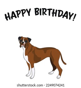Happy birthday card with dog, holiday design. Present for a dog lover. Funny cartoon dog breed illustration.  Minimalistic greeting card. Fun Boxer dog character party postcard.