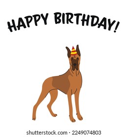 Happy birthday card with dog, holiday design. Present for a dog lover. Funny cartoon dog breed illustration.  Minimalistic greeting card. Fun Great Dane dog in hat character party postcard.