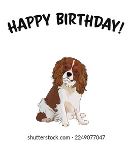 Happy birthday card with dog, holiday design. Present for a dog lover. Funny cartoon dog breed illustration.  Minimalistic greeting card.Fun Cavalier King Charles spaniel dog character party postcard.