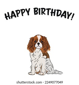 Happy birthday card with dog, holiday design. Present for a dog lover. Funny cartoon dog breed illustration.  Minimalistic greeting card.Fun Cavalier King Charles spaniel dog character party postcard.